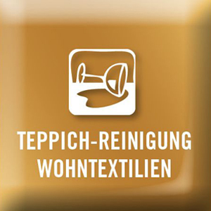 Teppich Reinigung